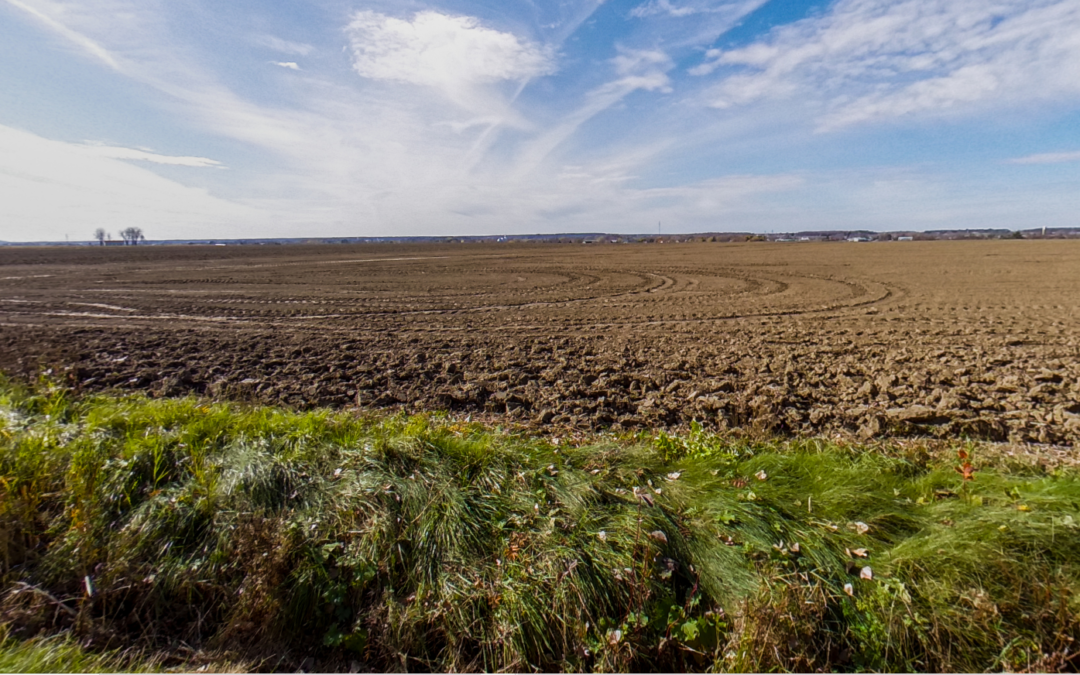 Rang Agricole
